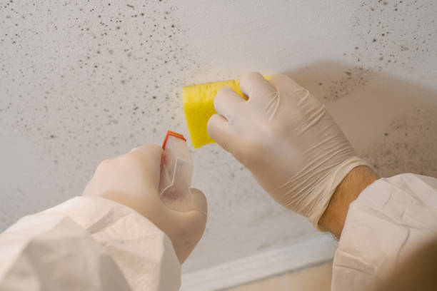 Best Air Quality Testing for Mold Spores  in Deer Park, OH